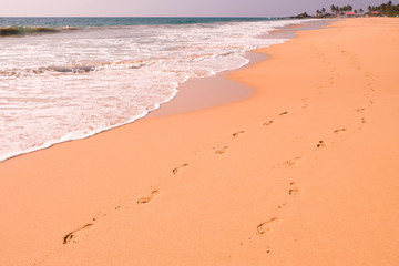 Human footprints leading away from the viewer into the sea. Empty beach, tourism concept, travelling.
