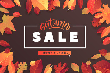 Autumn Fall Season Sale Banner. Colorful fall leaves and advertising discount text. Vector background design.