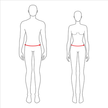 Women and men to do lower waist measurement fashion Illustration for size chart. 7.5 head size girl and boy for site or online shop. Human body infographic template for clothes. 