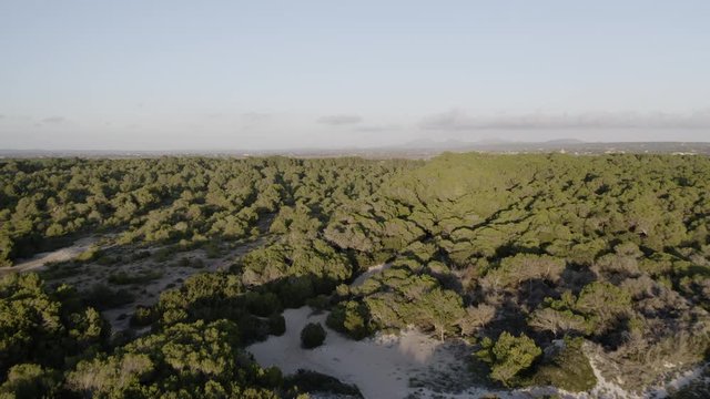 Drone video of mallorca coastline. video of es trenc beach