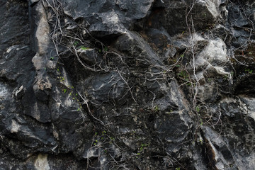 Stone textured as background and rough pattern design