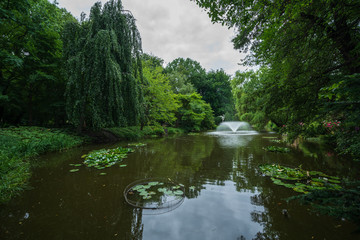 Fototapeta na wymiar Wroclaw, Poland August 5, 2020; The Botanical Garden of the University of Wrocław.
