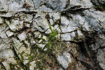 Stone textured as background and rough pattern design