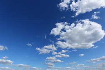Vivid wide angle skyscape with fluffy white cumulus clouds on a bright sunny summer day