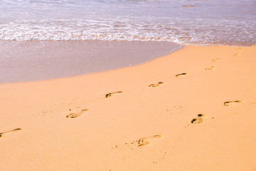 Fototapeta na wymiar Human footprints leading away from the viewer into the sea. Empty beach, tourism concept, travelling.