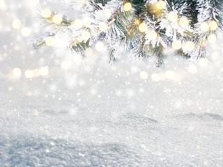 winter christmas background with snow and fir branches frame