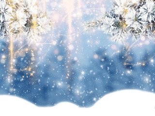 winter christmas background with snow and fir branches frame