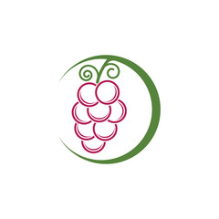 Grapes logo template vector icon illustration