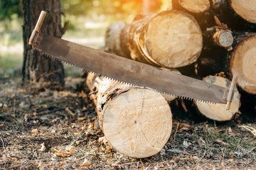 Hand saw for two people