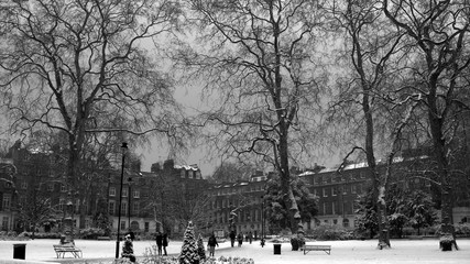 snow-covered trees in a London park