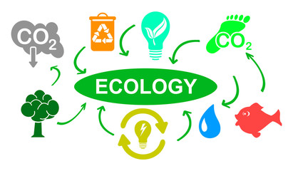 Concept of ecology