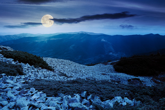 mountain landscape with stones at night. juniper tree among the rocks and grass. dramatic nature scenery in full moon light. great view in to the distant ridge