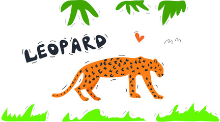 vector illustration of a leopard