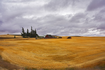 Fototapeta premium Small farm in fields of Montana