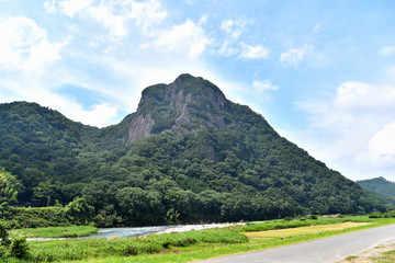 伊豆の国市、夏の城山