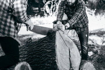 Two brutal bearded foresters