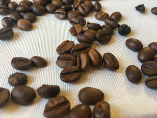 roasted coffee beans