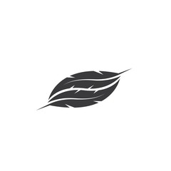 feather icon illustration vector template