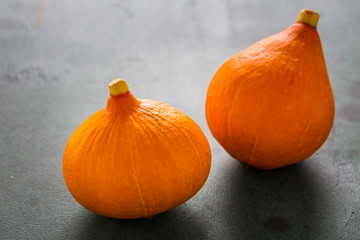 Red kuri squash on green background. Delicious edible pumpkin.