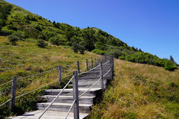 Fototapeta na wymiar Stairs wooden pathway of the Puy de Dôme volcano mountain in center france