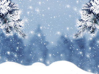 winter christmas background with snow and fir branches frame
