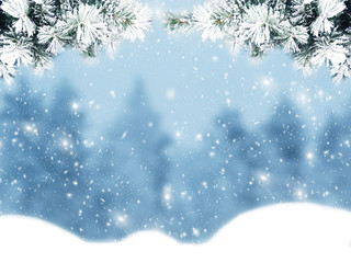 winter christmas background with snow and fir branches frame