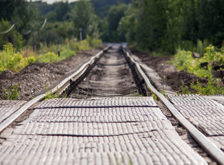 the railway for trains goes far into the forest