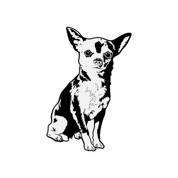 Chihuahua Svg, Cute Svg Files For Cricut, Dog Dxf Cut File, Animal , Eps, Png, Ipg, Puppy, Breed, Pet Canine Love Head