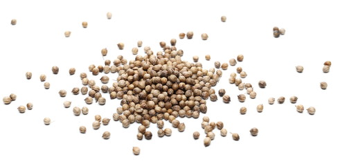 Coriander seeds pile isolated on white background