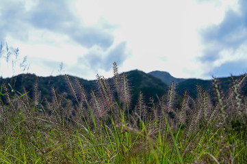 初秋を感じる山の風景