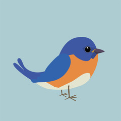 

A cute bluebird comic illustration. Cut out on a blue background.