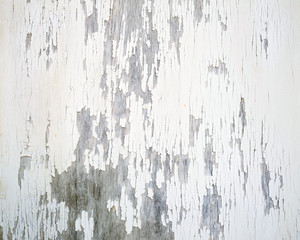 old white cracked paint on vertical wooden planks