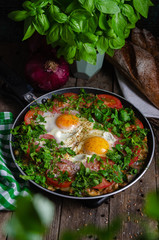 Excellent breakfast (lunch) - shakshuka. Fried eggs with vegetables in a frying pan.