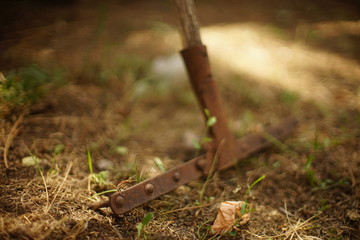 old rusty rake tool stands in the garden on the ground with dry grass