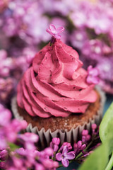 Macro purple cupcake with purple lilac