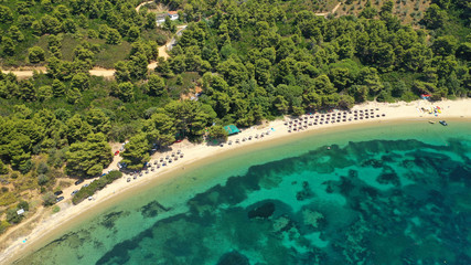 Aerial drone photo of beautiful sandy beach of Agia Eleni next to famous banana beach, Skiathos island, Sporades, Greece
