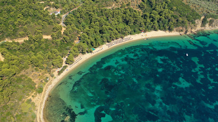 Aerial drone photo of beautiful sandy beach of Agia Eleni next to famous banana beach, Skiathos island, Sporades, Greece