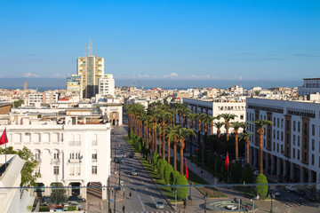 View from the hotel on the Boulevard with beautiful palm trees against a bright blue sky...