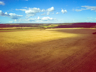 Aerial view wheat field with clouds and forest