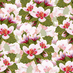 Hand painted watercolor cherry blossom seamless pattern, perfect to use on the web or in print