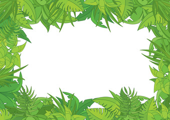 Jungle on white background