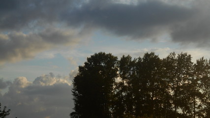 Fototapeta premium light clouds