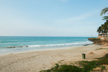 beach with palm trees and sea
