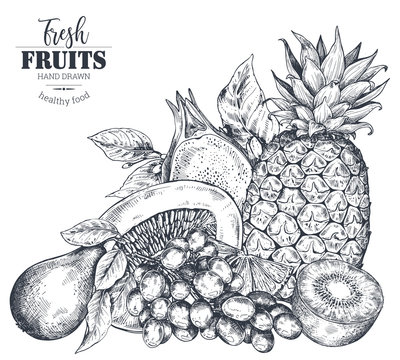 Vector illustration of hand drawn vector fresh fruits in sketch style.