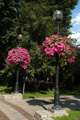 Flower decoration of parks and streets