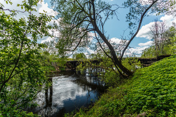 Obraz premium river and forest