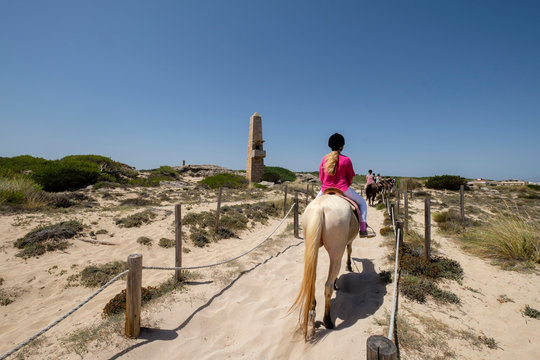 escursion a caballo por las dunas, Son Serra de Marina ,Mallorca, balearic islands, Spain