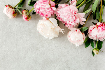 Obraz na płótnie Canvas Beautiful pink peony flowers on gray stone table with copy space for your text. Flat style, top view