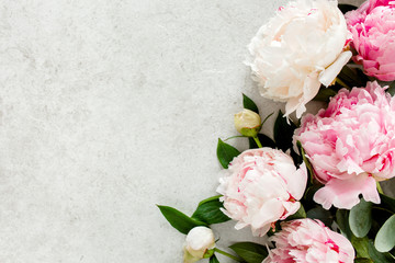 Beautiful pink peony flowers on gray stone table with copy space for your text. Flat style, top view