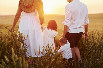 View from behind. Family of four people spending free time on the field at sunny day time of summer